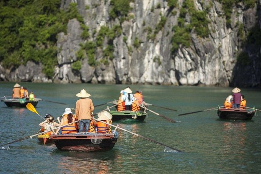 From Hanoi: 2-Day Ha Long Bay Tour with Ninh Binh and Cruise - Who should choose this tour?