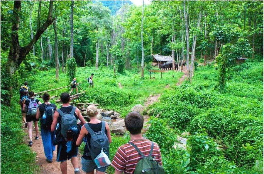 From Hanoi: 2-Day Ha Long Bay Tour with Ninh Binh and Cruise - The sunset party and the long return to Hanoi