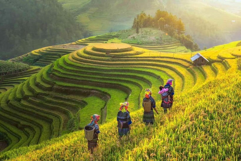 From Hanoi: 2-Day Luxury Sapa Trekking Tour with Homestay - Lunch and an afternoon in Ta Van