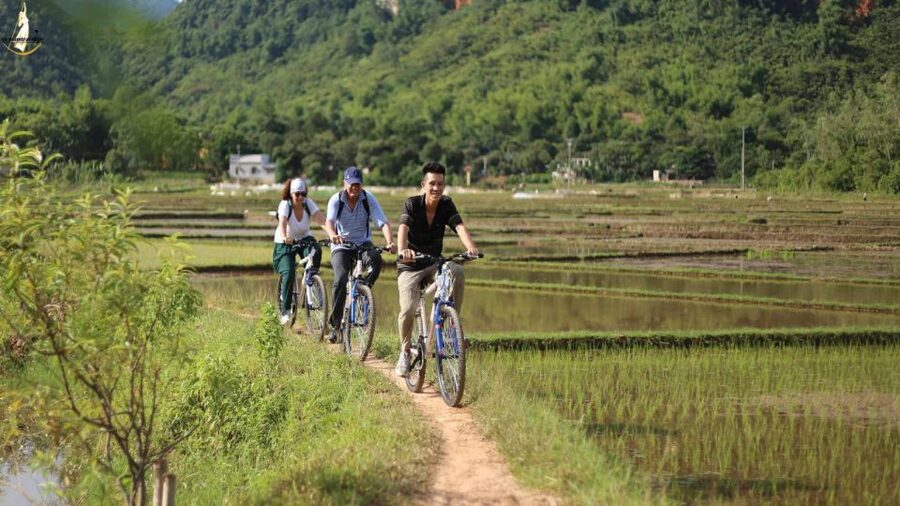 From Hanoi: 2-Day Ninh Binh Tour with Ha Long Bay Cruise - Luon Cave by kayak or bamboo boat