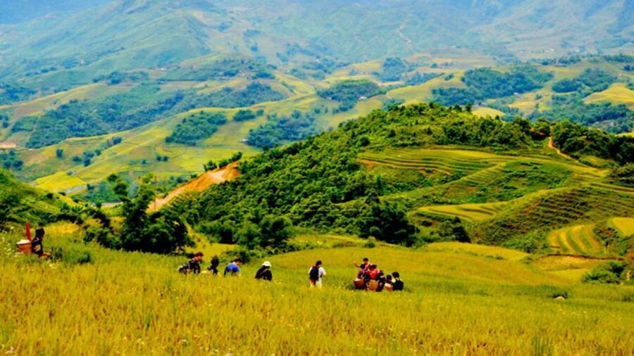 From Hanoi: 2-Day Overnight Sapa Tour by Limousine - Food, guides, and the moving parts