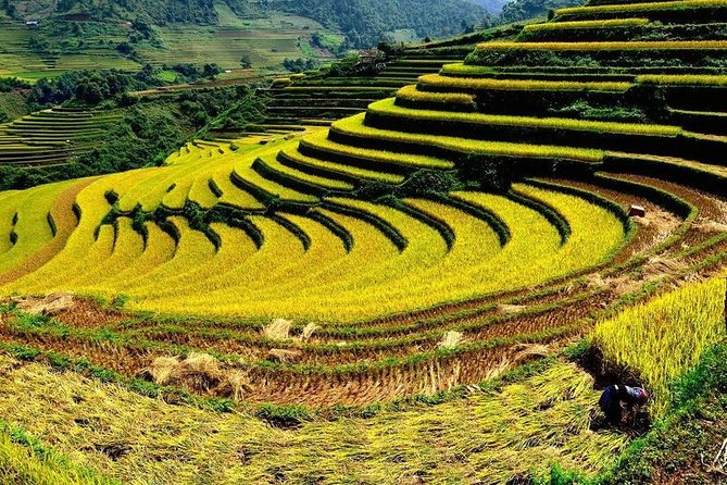 From Hanoi: 2-Day Overnight Sapa Tour by Luxury Van Limousine - How much organization should you expect?