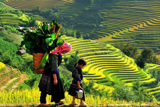 From Hanoi: 2-Day Overnight Sapa Tour by Luxury Van Limousine - Day one: Cat Cat Village or the valley trail