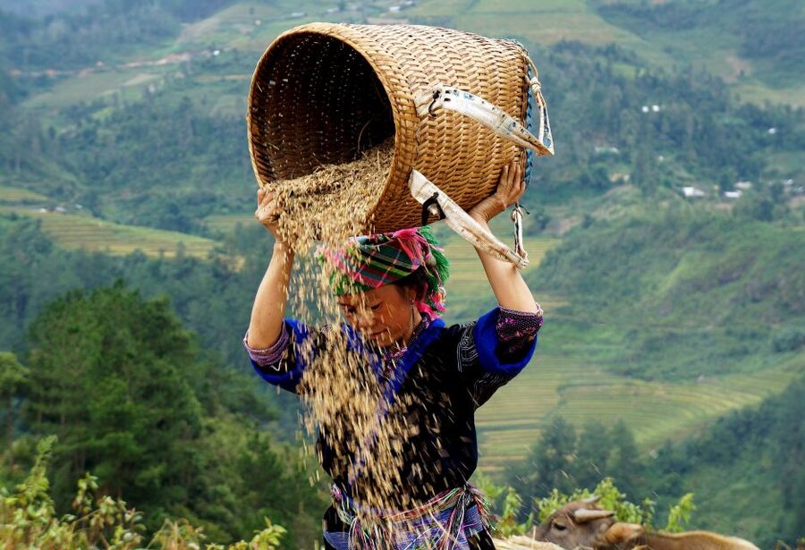 From Hanoi: 2-Day Sapa Cultural Exchange Tour with Homestay - Day two: four kilometers to Giang Ta Chai