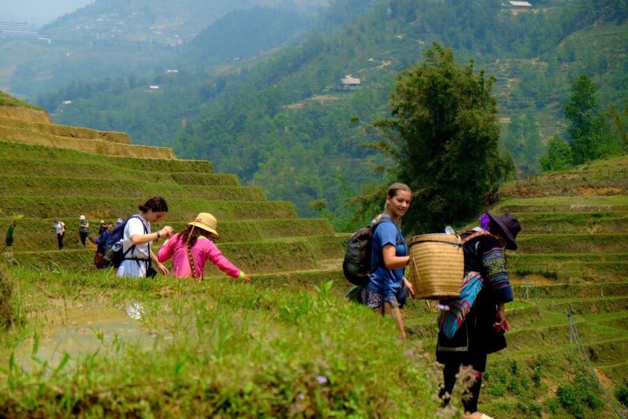 From Hanoi: 2-Day Sapa, Fansipan, and Muong Hoa Valley Tour - Fansipan by cable car, then 600 steps to the top