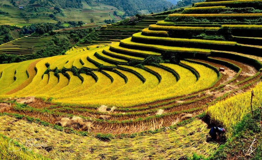 From Hanoi: 2-Day Sapa-Fansipan Peak & Trek & Ha Giang Bus - Walking from Lao Chai toward Ta Van