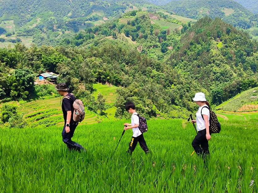 From Hanoi: 2-Day Sapa Trek Tour - Luxury Limousine Transfer - What the local guides add