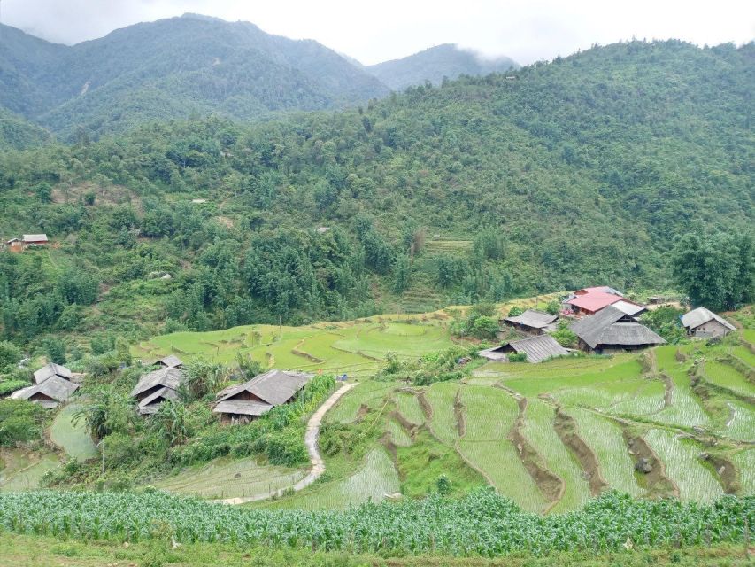 From Hanoi: 2-Day Sapa Trekking Trip with Homestay & Meals - Day two: bamboo forest or farm work