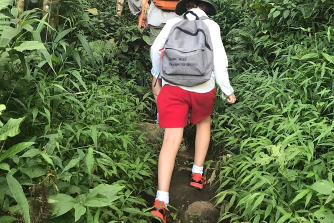 From Hanoi: 3 Days Luxury Sapa Trek & Fansipan Peak with Dcar - Day 3: Ham Rong Mountain before the long ride south