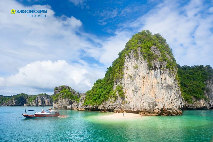 From Hanoi: Halong Bay Day Trip with Lunch and Transfers - What the $48 price really includes