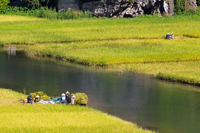 From Hanoi: Hoa Lu - Tam Coc boating - Cycling & Mua Cave visit - Mua Cave and the 500-step climb to Ngoa Long Mountain