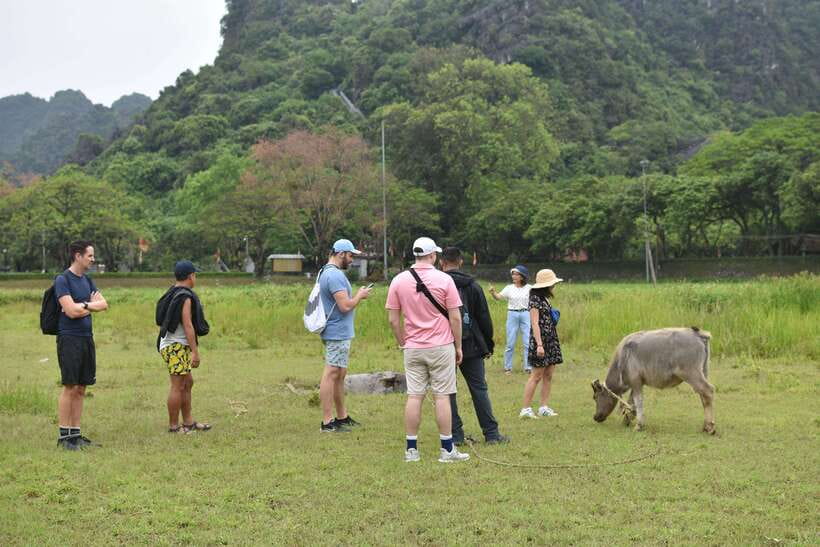 From Hanoi: Ninh Binh, Hoa Lu, Tam Coc, & Mua Cave Day-Trip - A Vietnamese buffet with plenty of choice