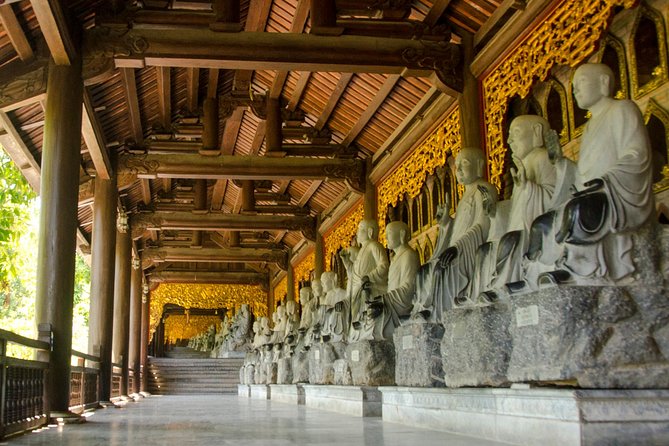 From Hanoi: Ninh Binh Tour Highlights - Transfer & Buffet Lunch - The guide and the shared-coach rhythm