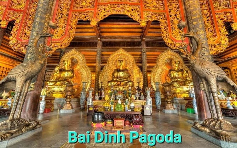 From Hanoi/NinhBinh: HoaLu-Bai Din- TrangAn- MuaCave-BichDon - Bai Dinh Pagoda or Bich Dong Pagoda