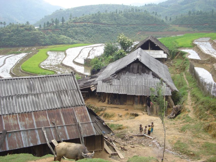 From Hanoi: Sapa 3-Day Medium Trek and Limousine Trip - Should you book this Sapa tour?