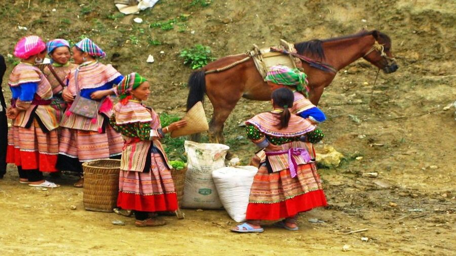 From Hanoi: Sapa 3-Day Medium Trek and Limousine Trip - The guides are a major part of the value