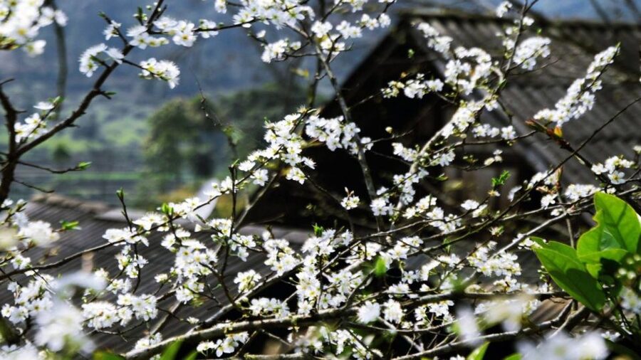 From Hanoi: Sapa 3-Day Medium Trek and Limousine Trip - What to pack for Sapa’s changeable weather