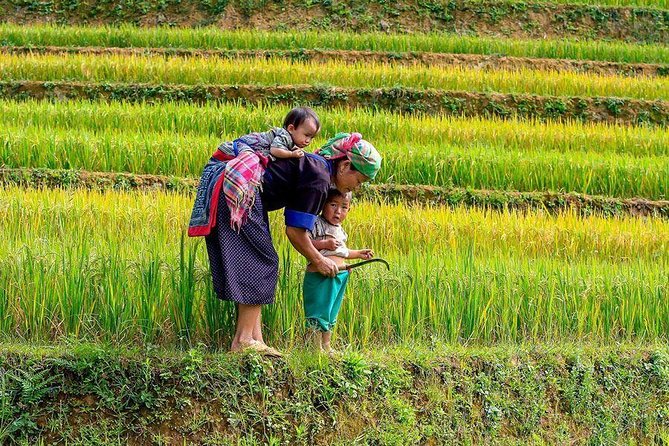 From Hanoi: Sapa Real Experience 2-Day 1 Night at Ethnic Homestay - How difficult is the trekking?