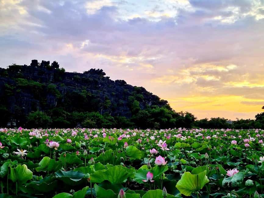 From Hanoi: Trang An eco-tourism - Hoa Lu ancient & Mua Cave - The 500 steps at Mua Cave