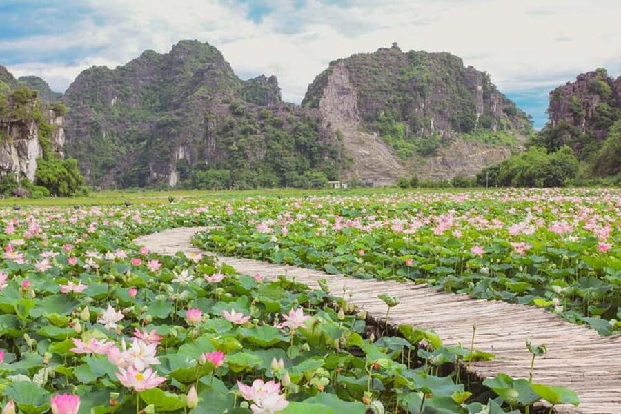 From Hanoi: Trang An eco-tourism - Hoa Lu ancient & Mua Cave - Lunch between the climb and the river
