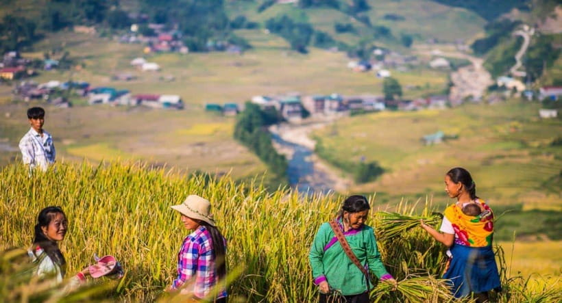 From Hanoi: Trek and Stay: 3-Day Sapa Highlands Adventure - Weather and packing matter more than the brochure suggests