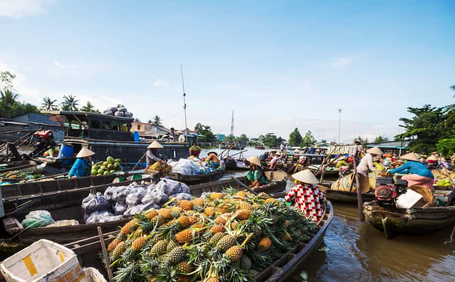 From HCM: Mekong Delta & Cai Rang Floating Market 2-Day Tour - Why two days works better than a quick Mekong trip