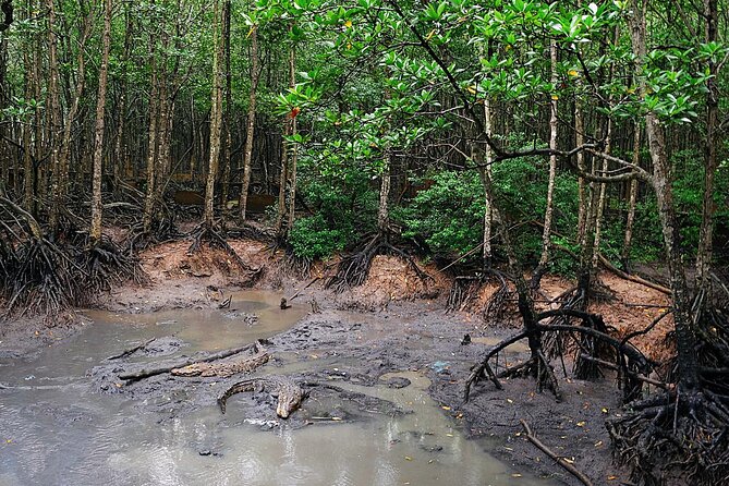 From Ho Chi Minh: Can Gio Trek – Monkey Island & Crocodile Farm - Rung Sac Military Base and the wartime story