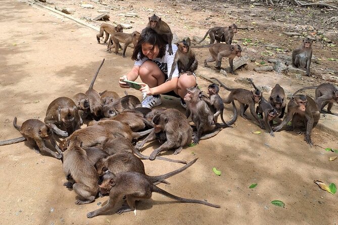 From Ho Chi Minh: Can Gio Trek – Monkey Island & Crocodile Farm - Guides, transport, and the pace of the day