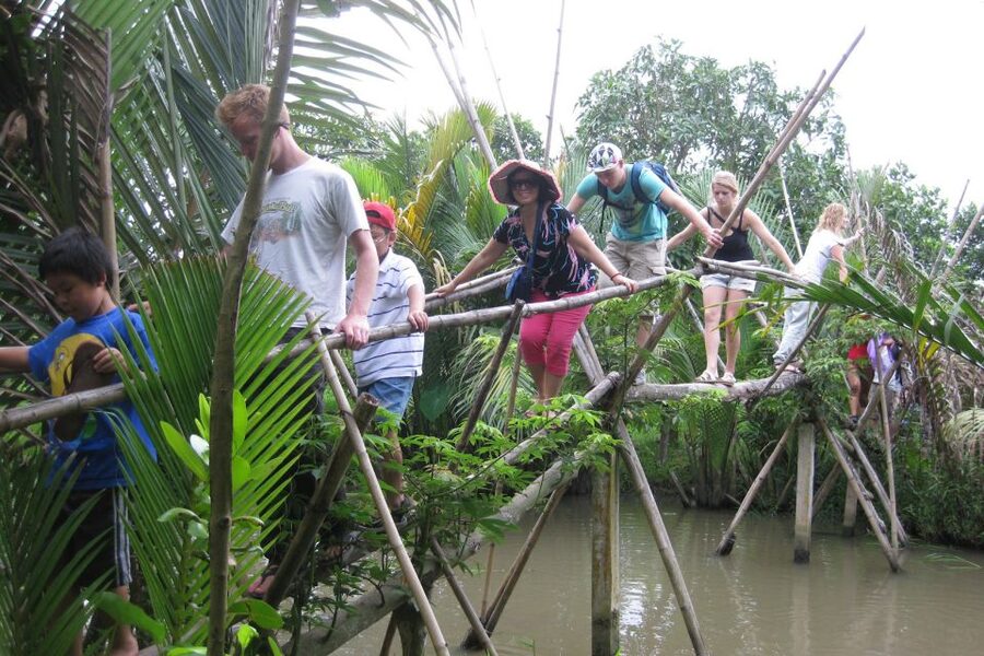 From Ho Chi Minh City: Mekong Delta VIP Tour by Limousine - Why the guides matter so much