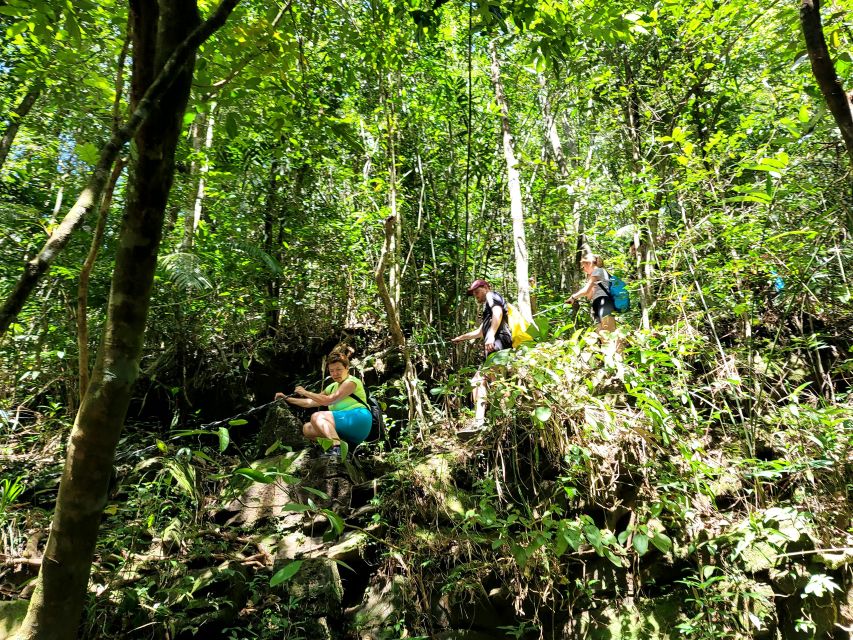 From Hue: Bach Ma National Park Hiking Day Trip with Pickup - Picnic lunch with mountain and waterfall views