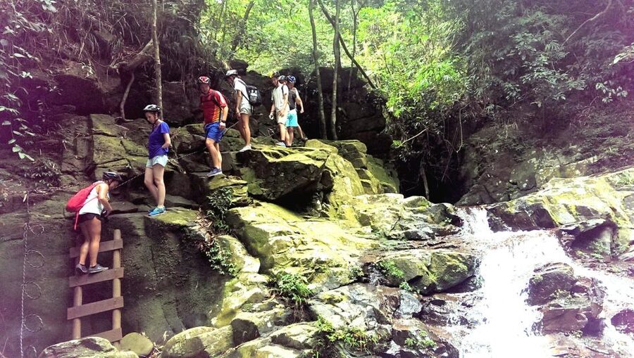 From Hue/Da Nang/Hoi An: Bach Ma National Park Trekking Tour - Starting early from Hue, Da Nang, or Hoi An