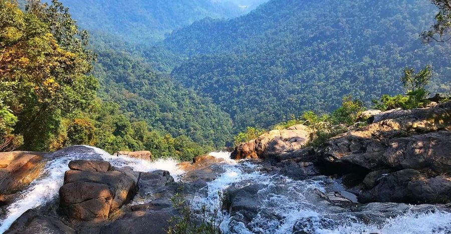 From Hue/Da Nang/Hoi An: Bach Ma National Park Trekking Tour - Picnic lunch beside the forest and water