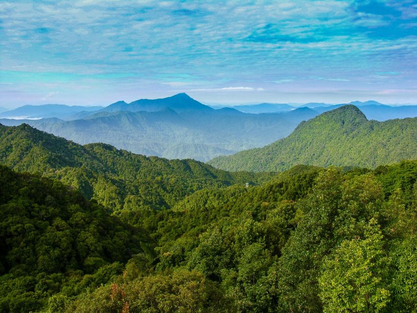 From Hue/Da Nang/Hoi An: Bach Ma National Park Trekking Tour - The guides can make the forest come alive