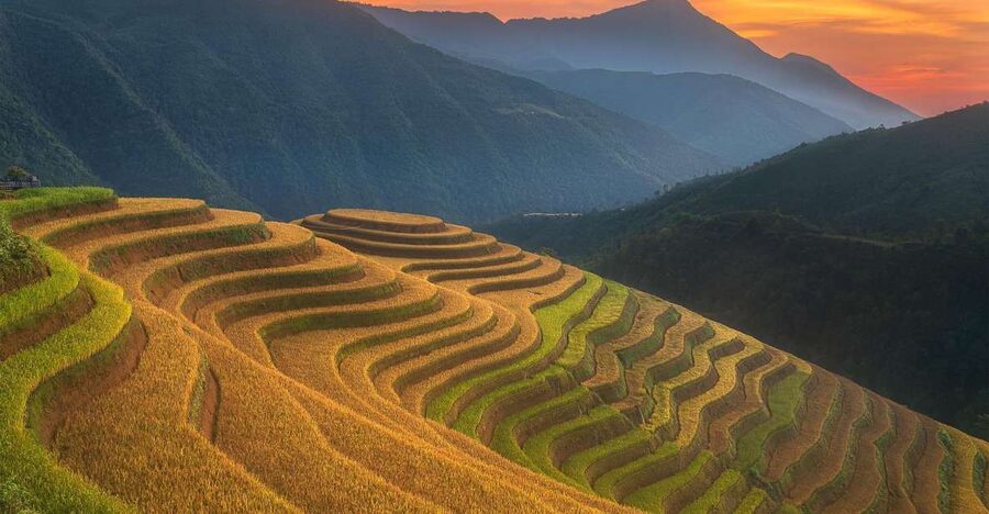 From Sapa: 1-Day Guided Trek to Lao Chai & Ta Van with Lunch - Walking beside the stream toward Lao Chai