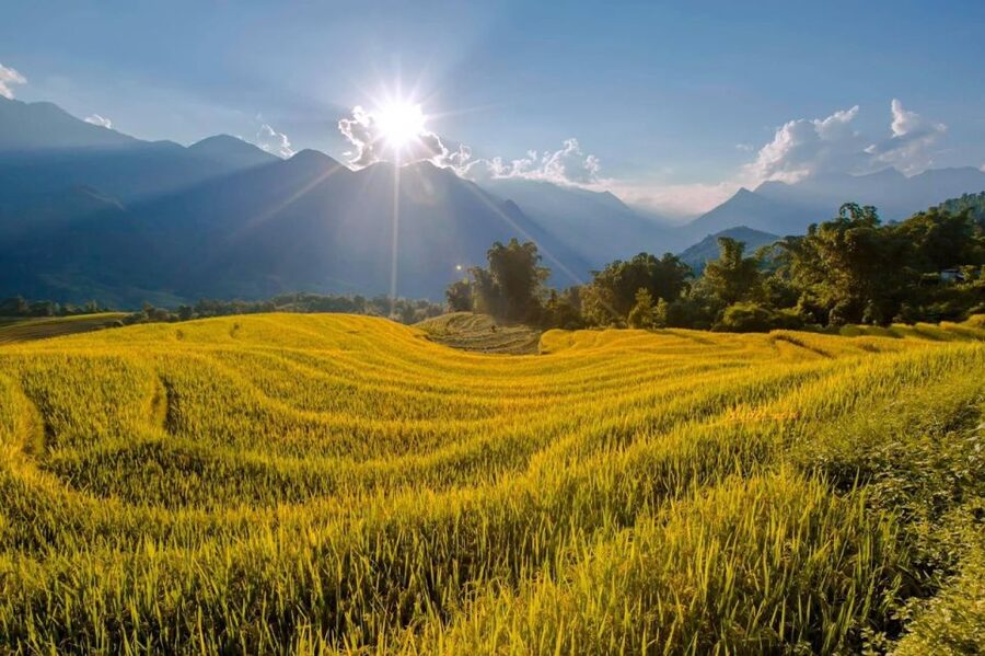 From Sapa: 1-Day Guided Trek to Lao Chai & Ta Van with Lunch - Lunch in Lao Chai, simple and welcome