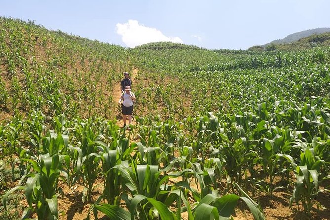 From Sapa: 2-Day Trek Through Authentic Villages in North - Sapa - Weather, walking, and what to pack