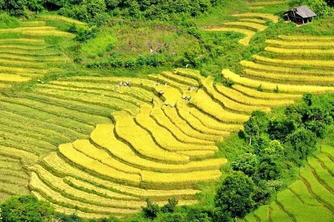 From Sapa: 2 Days 1 Night Trek Over Night At Homestay - Day two heads toward Giang Ta Chai
