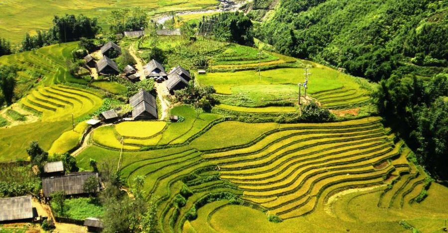 From Sapa: Terrace Fields and Local Villages Trek with Lunch - A bamboo forest route and the practical reality of mud