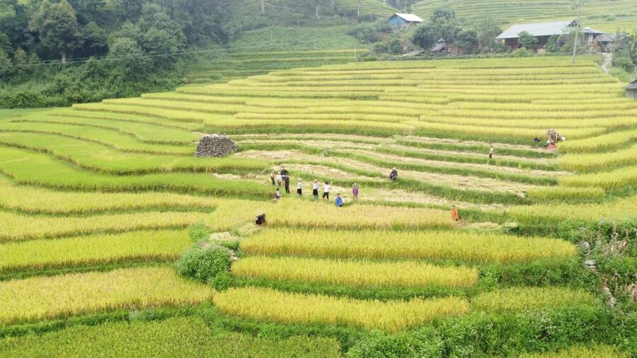 From Sapa: Terrace Fields and Local Villages Trek with Lunch - The waterfall break gives the walk a natural pause