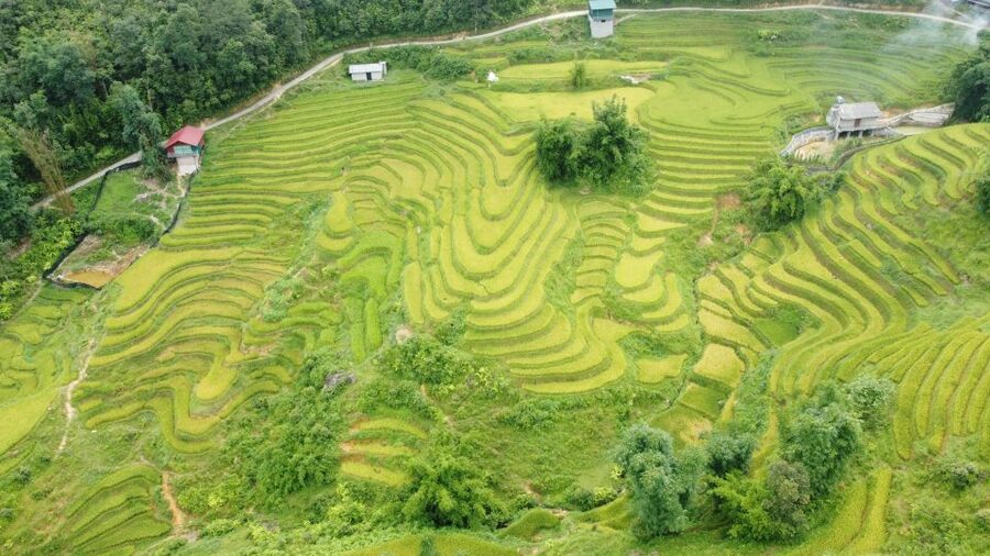 From Sapa: Terrace Fields and Local Villages Trek with Lunch - Returning by shuttle instead of retracing the route