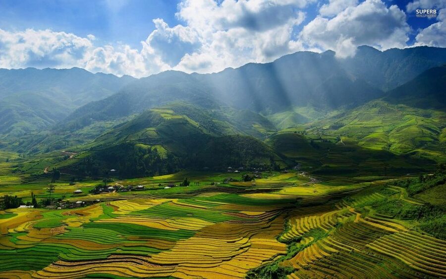 From Sapa: Terrace Fields and Local Villages Trek with Lunch - The guide makes the biggest difference
