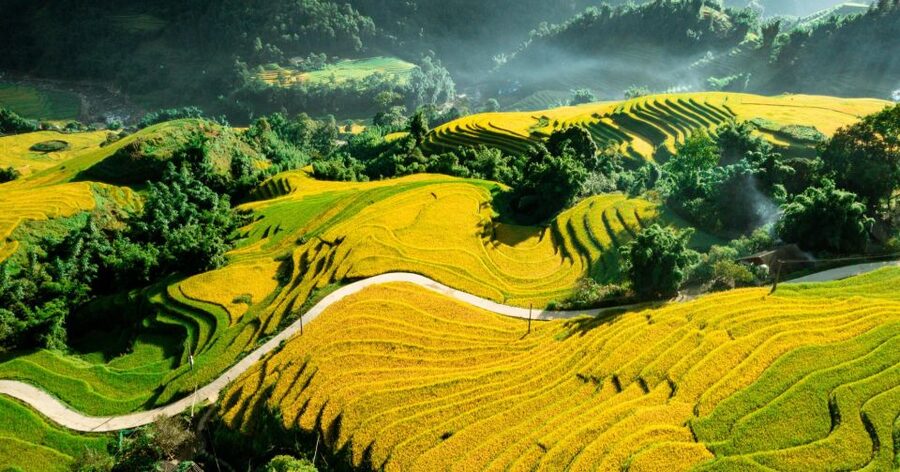 From Sapa: Terrace Fields and Local Villages Trek with Lunch - Who should book this Sapa trek?