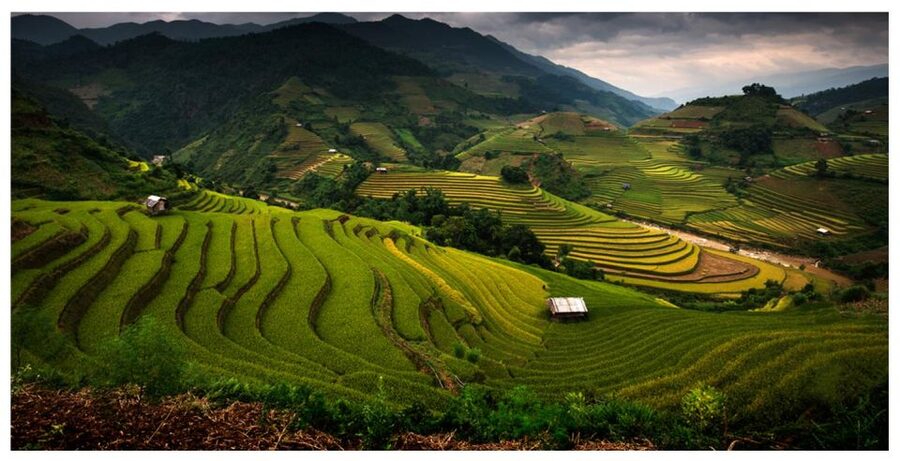 From Sapa: Terrace Fields and Local Villages Trek with Lunch - Lai Chai village and the human side of Sapa