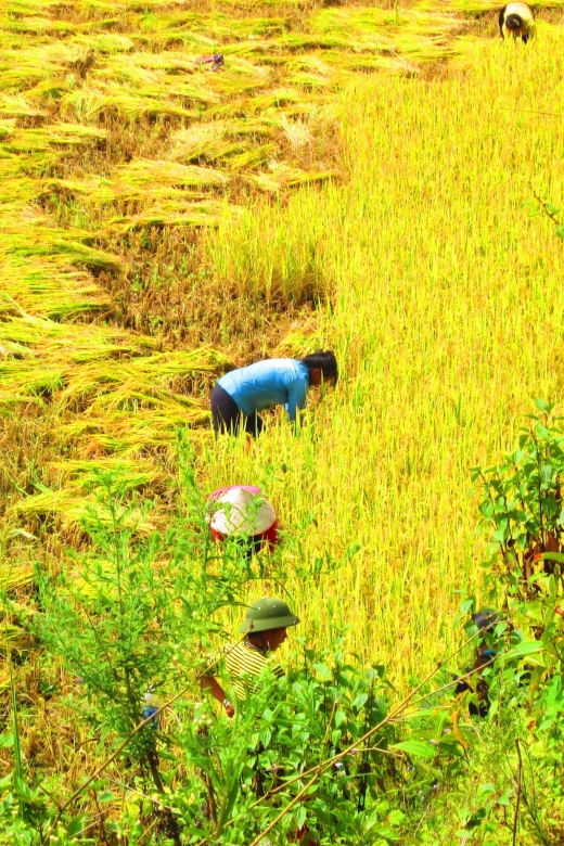From Sapa: Waterfalls, Trekking and Tribal Villages Tour - From Sapa to Silver Waterfall in 30 minutes