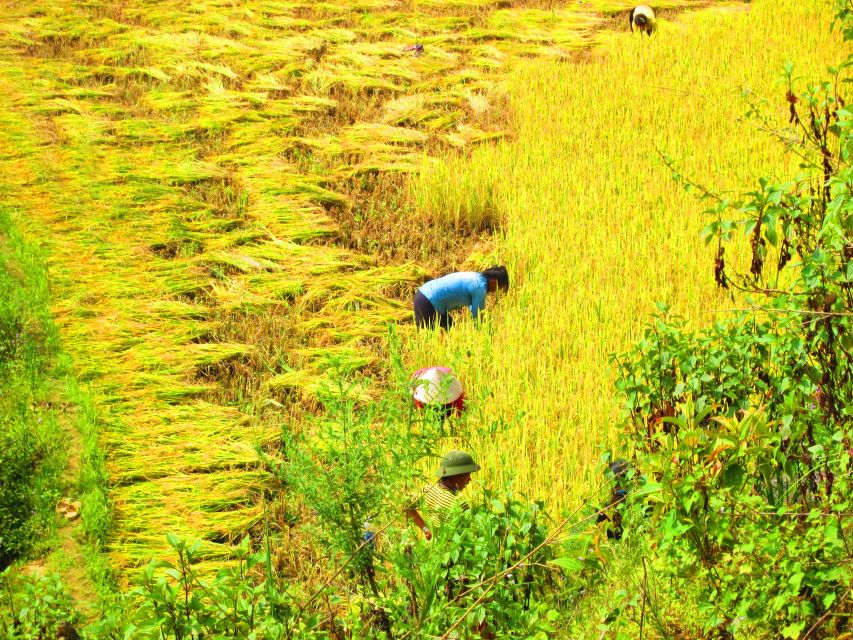 From Sapa: Waterfalls, Trekking and Tribal Villages Tour - Is $72 good value?