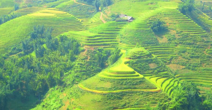 From Sapa: Waterfalls, Trekking and Tribal Villages Tour - Ban Khoan begins the serious walking