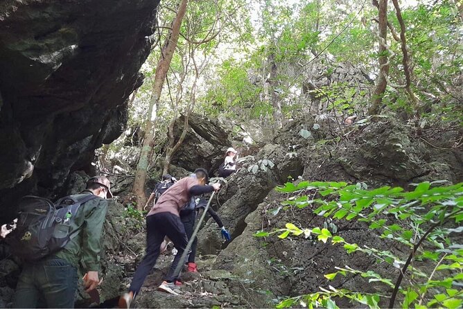 Full-Day Cuc Phuong National Park Hiking Tour - Group size, fitness, and weather