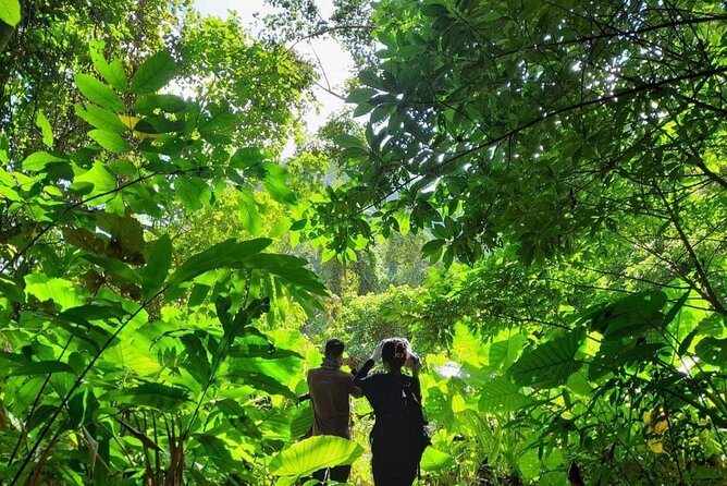 Full-Day Cuc Phuong National Park Hiking Tour - Who should book this Cuc Phuong day trip?