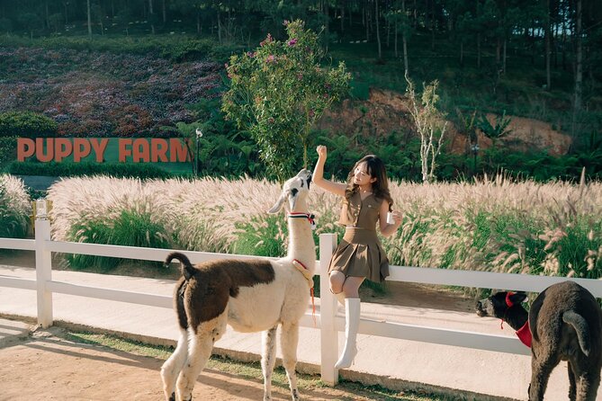 Full-Day Highlight of Da Lat –The famous tourist attractions 2025 - What this six-hour Da Lat route is really trying to do