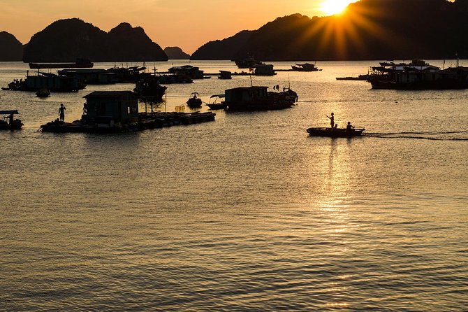 Full day hikes, Cycles, Kayaks & swims in Cat Ba National park - The 8:00 pickup and ride to the park